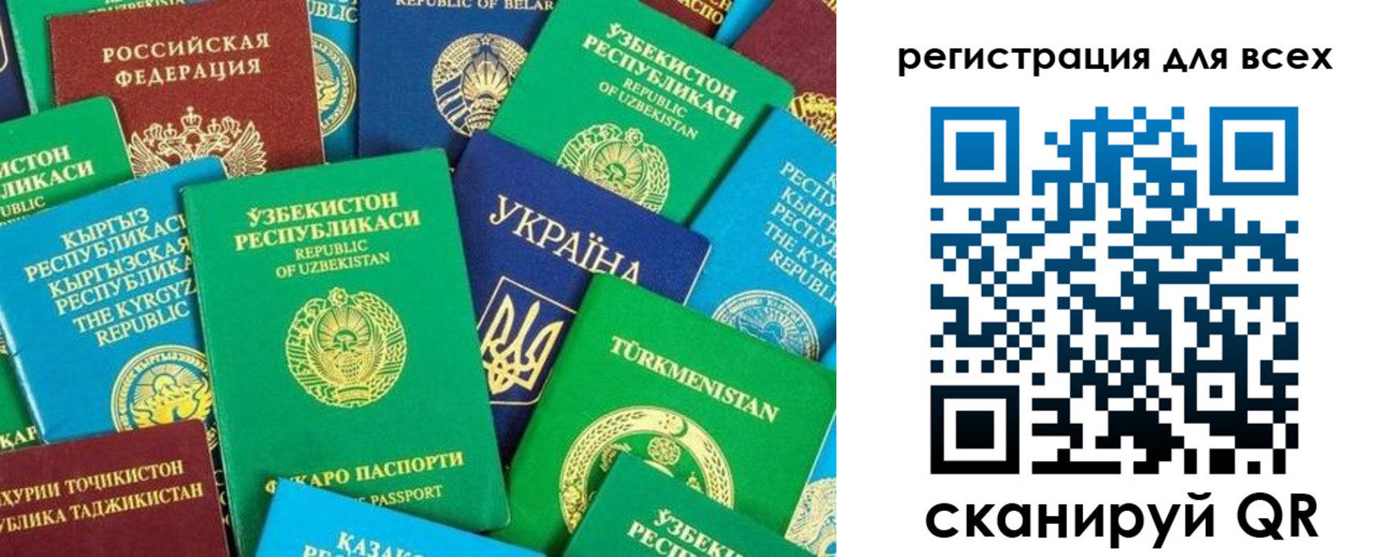 временная регистрация поиск в Королёве